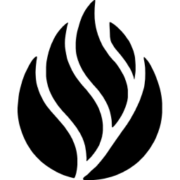 R5 logo in PNG